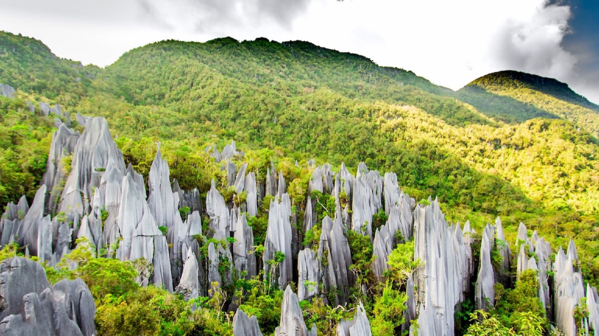 3D2N Majestic Mulu Caves