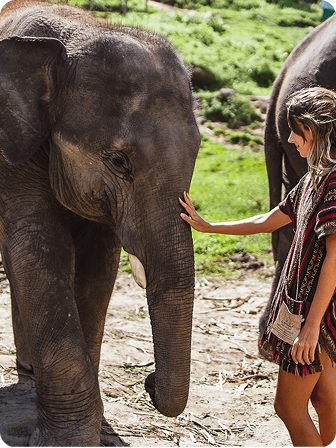 Elephant Sanctuary