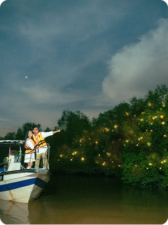 Kuala Selangor & Fireflies